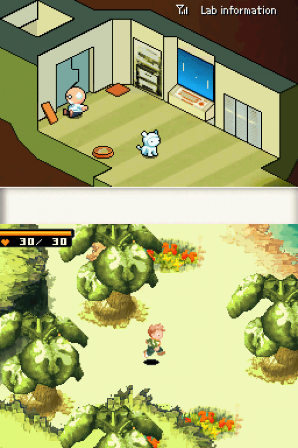Contact – Nintendo DS (DS)