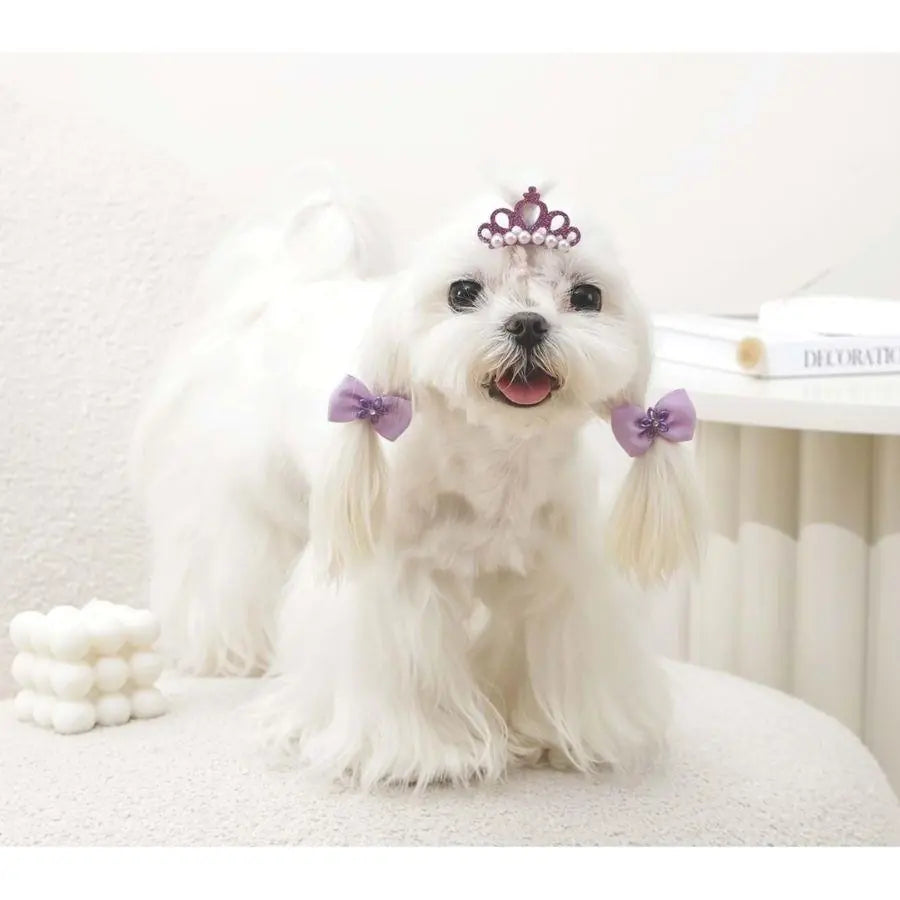 M-Pets Glam Crown and Bow Accessory Set for Cats and Dogs Purple