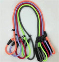 Lion Pet Padded Handle Dog Leash for Comfortable Walks 1.5m