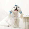 M-Pets Glam Blue Glasses & Bow Hair Accessory for Pets