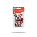 Airgut Pets Petiq Car Air Freshener Odor Neutralizer 1 Unit
