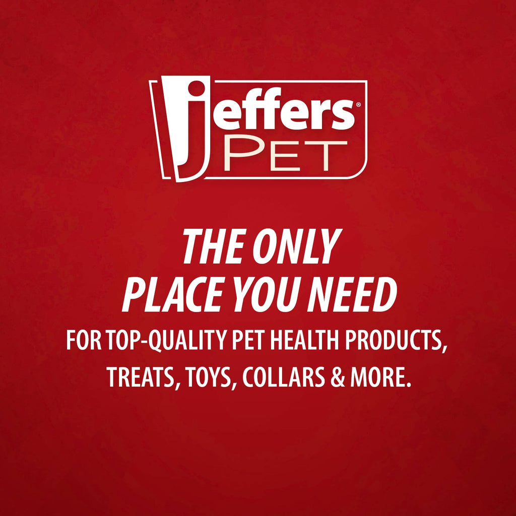 Jeffers Fuzzy Shapes Dog Toys with Squeakers, Assorted Colors