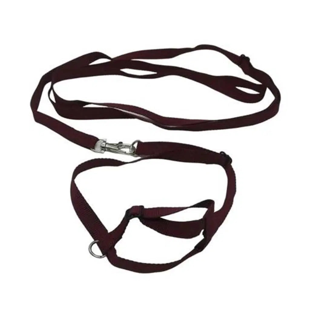 Elit Bird Harness and Leash for Outdoor Training