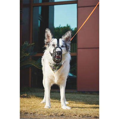 M-Pets Bark Guard Dog Muzzle Breathable Control XXL 22x19x9cm