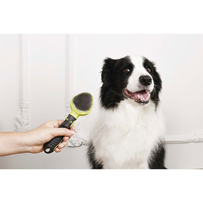 M-Pets Click & Groom Slicker Brush for Kittens and Puppies 20cm