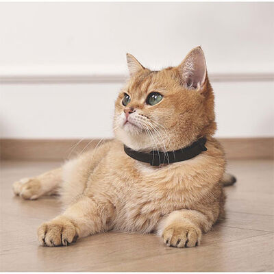 M-Pets Keep Calm Calming Cat Collar 4-Pack Mix Color 38cm