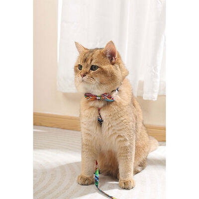M-Pets Urban Style Freestyle Bow Tie for Large Dogs 10x6.9cm