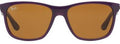 Ray-Ban 4181 6034 Purple Frame Sunglasses with Brown Lenses