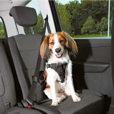 Trixie Dog Car Safety Harness and Belt Set Black S-M 40-55 cm