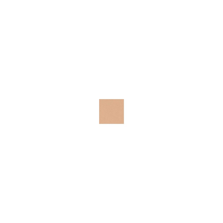 Smashbox Photo Filter Creamy Powder Foundation 2 9.9g
